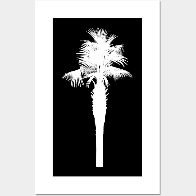 Palm Wall Art by ShirtyLife